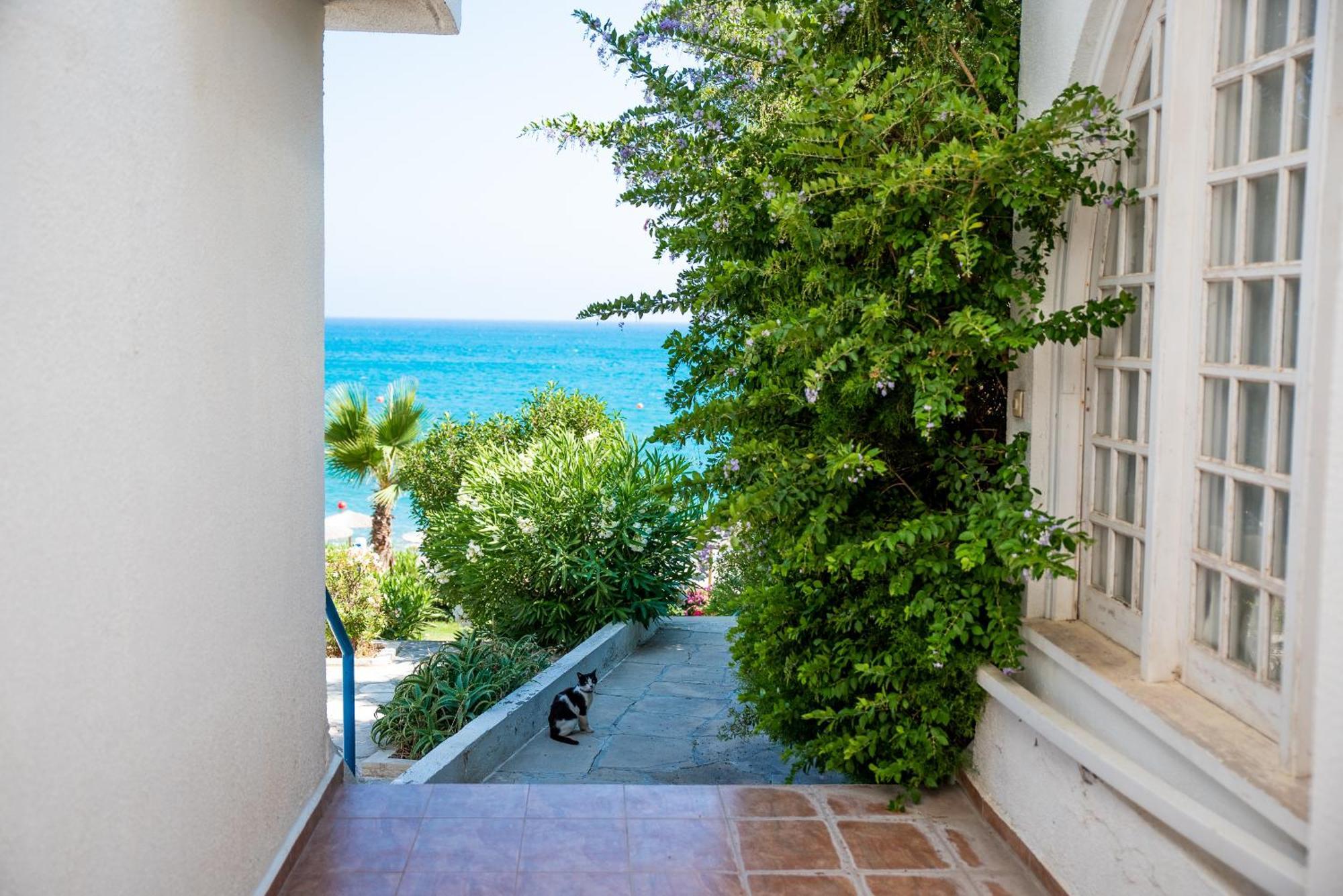 Pissouri Bay Studio エクステリア 写真